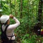 Suspenden licencia a cuatro regentes forestales