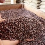 Peruanos duplicarán consumo del verdadero chocolate con más de 35 % de cacao