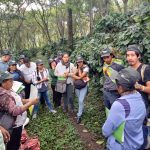 Capacitan a más de 300 caficultores cusqueños en el primer semestre del año