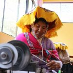 Cusco: Productores de alpaca exportan a Dinamarca