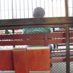 Dan cadena perpetua a violador de menor en Madre de Dios