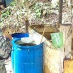 Destruyen más de 17 toneladas de hoja de coca en el Vraem