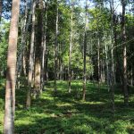 Loreto tiene nueva Área de Conservación Privada