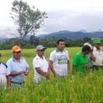 Organizan taller sobre evaluación y clasificación de tierras en San Martín