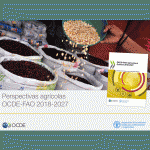 Producción agrícola y pesquera de América Latina y el Caribe al 2027 aumentaría en 17 %