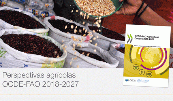 La OCDE y la FAO ven improbable una crisis alimentaria en la próxima década