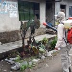 Inician amplia fumigación en Tingo María