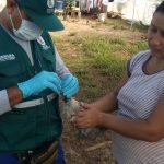 Ucayali: Atienden reporte de notificación de enfermedades en aves