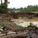 Identifican ecosistemas degradados en Madre de Dios