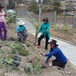 Ayacucho: Siembran plantas ornamentales en Jesús Nazareno