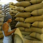 Advierten sobre contracción de exportación cafetera nacional