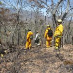 Controlan incendio en reserva nacional de Tumbes