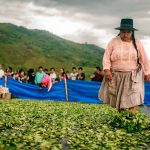 Destacan realización del Festival Internacional de la Coca en el Vraem