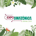 Expoamazónica será la primera feria que dejará el plástico