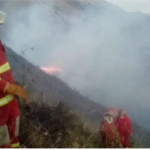 Extinguen incendio forestal en el Cusco