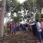 Fortalecen capacidades de agricultores de Ucayali y Huánuco en manejo de plantaciones forestales