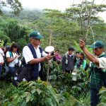 Fortalecen capacidades técnicas de cafetaleros en Huánuco