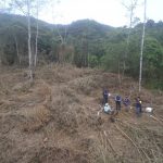 Huánuco: Combatiendo la deforestación en Carpish