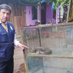 Intervienen zoológico en Madre de Dios