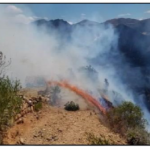 La Libertad: Bomberos extinguen incendio forestal en Huamachuco