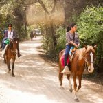 Más de 50 mil peruanos visitaron áreas naturales protegidas en Fiestas Patrias