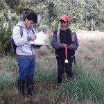 Minagri realizó inventario de plantaciones forestales en Cajamarca y Cusco