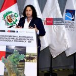 Mosaico de imágenes satelitales permitirá potenciar la zonificación ecológica y económica en las regiones