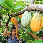 Toma de decisiones concertadas para impulsar el agro sanmartinense