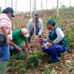 Ucayali: Impulsan control biológico entre productores frente a plagas forestales