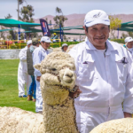 Productores de Arequipa y Puno en el Alpaca Fiesta 2018