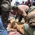 Arequipa: Primer chaccu en la Reserva Paisajística Sub Cuenca del Cotahuasi