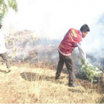 Extinguen incendio forestal en Ayacucho