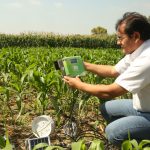 Minagri aplica sensores remotos para medir calidad de suelos agrícolas Foto Minagri