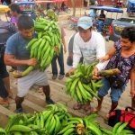 San Martín: Alistan III Feria Agropecuaria y Artesanal en Barranquita