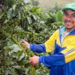 Cusco: Quillabamba será sede del Primer Foro Nacional del Café