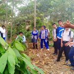 Devida y Serfor combaten deforestación en el Vraem