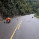 Junín: Rehabilitan tránsito en vía situada en Chanchamayo