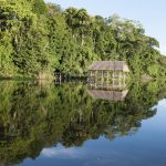 Parque Nacional Cordillera Azul y Reserva Comunal Amarakaeri ingresan a Lista Verde