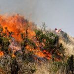 Aprueban Plan de Prevención y Reducción de Riesgos de Incendios Forestales