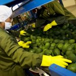 Exportaciones bordearon los US$ 40 mil millones en el período enero- octubre 2018