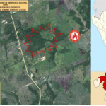 Extinguen incendio forestal en Ucayali