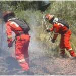 Extinguen incendio forestal en el Cusco