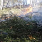 Extinguen incendios forestales en La Libertad, Puno, Junín y Cajamarca