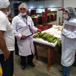 Inspeccionan establecimiento de procesamiento primario de plátano en Ucayali