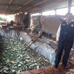 Intervienen planta insalubre de fruta confitada en Madre de Dios