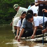 Liberan 500 taricayas en Loreto