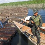 Ucayali: Detienen tala ilegal en la Reserva Comunal El Sira
