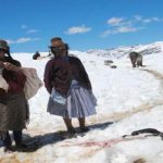 Unas 33 provincias en estado de emergencia por bajas temperaturas y déficit hídrico