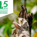 Abren inscripciones para la I maratón de birdwatching en RN Allpahuayo Mishana