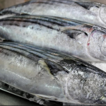 ¿Qué pescados son ideales para consumir en verano?
